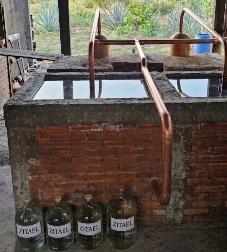 Alambique de cobre con garrafones de mezcal Zitael — destilación doble artesanal