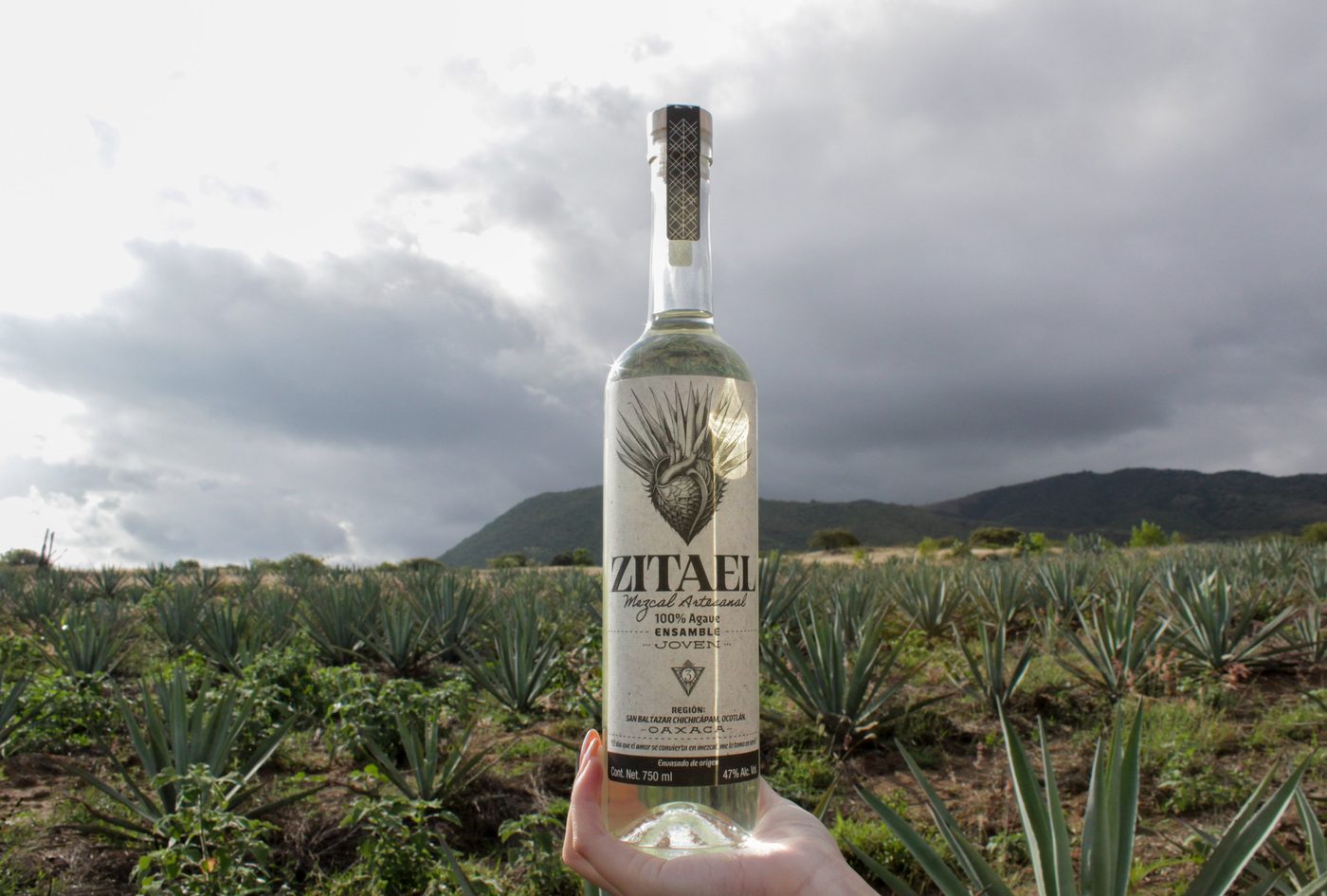 Zitael Ensamble entre agaves de San Baltazar Chichicapam, Oaxaca